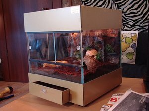 сергею не день рождение скорпион 003.JPG