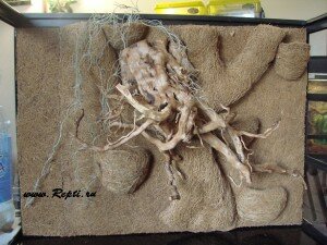 фон из кокосового волокна 011.JPG