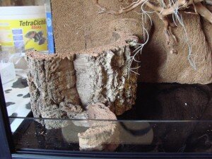 фон из кокосового волокна 012.JPG