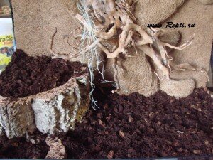 фон из кокосового волокна 015.JPG