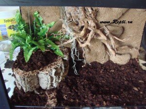 фон из кокосового волокна 017.JPG