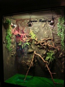 всяко разно 2 133.JPG